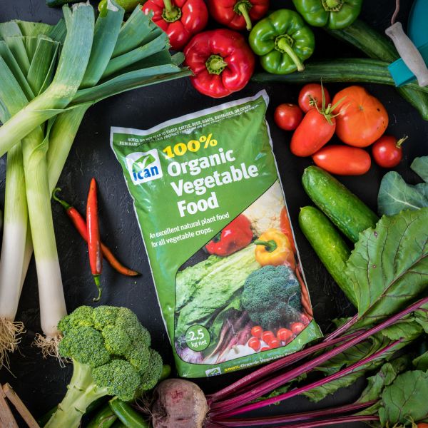 iCan Organic Vegetable Food