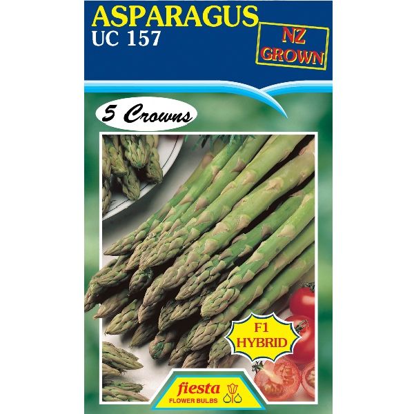 Asparagus UC157