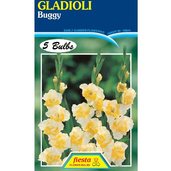 Gladioli Buggy