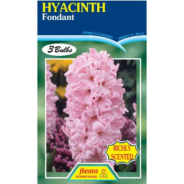 Hyacinth Fondant