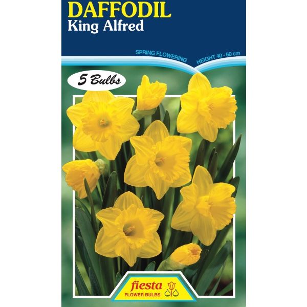 Daffodil King Alfred