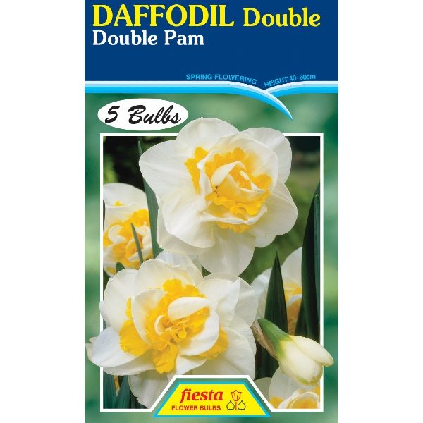 Daffodil Double Pam