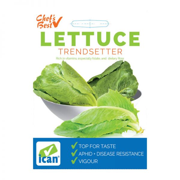 Chef’s Best Lettuce - Trendsetter