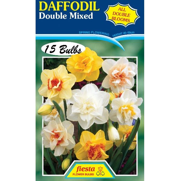 Daffodil Double Mixed Pack