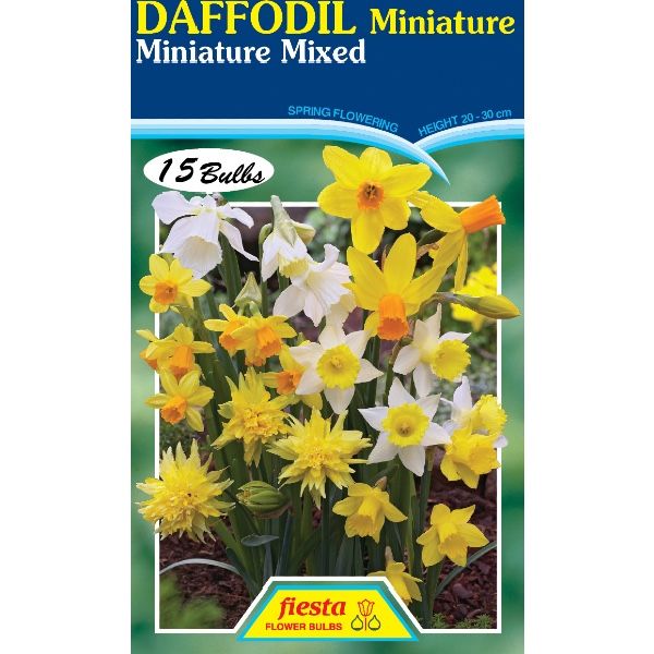 Daffodil Miniature Mixed