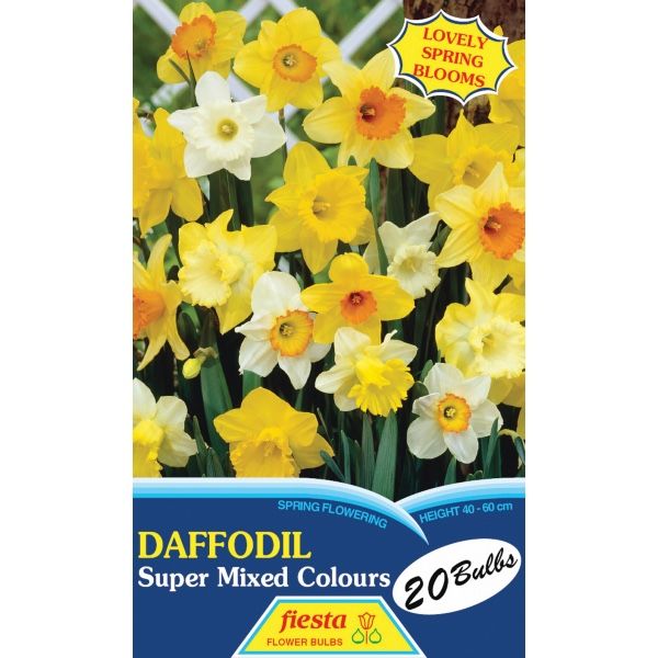 Daffodil Mixed 20's
