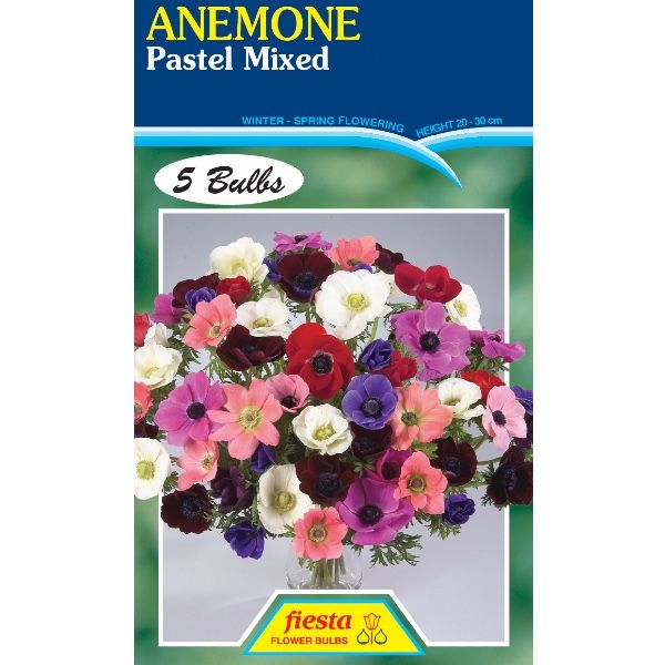 Anemone Pastel Mixed
