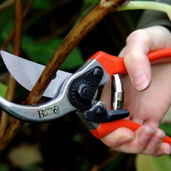 Secateurs