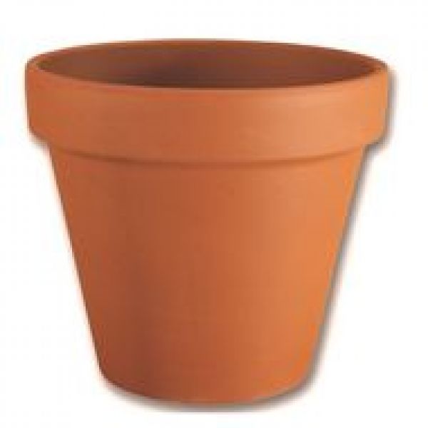 Terracotta Pots